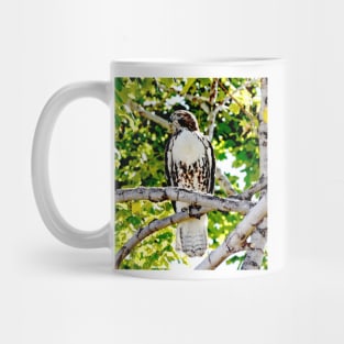 Red Tailed Hawk Mug